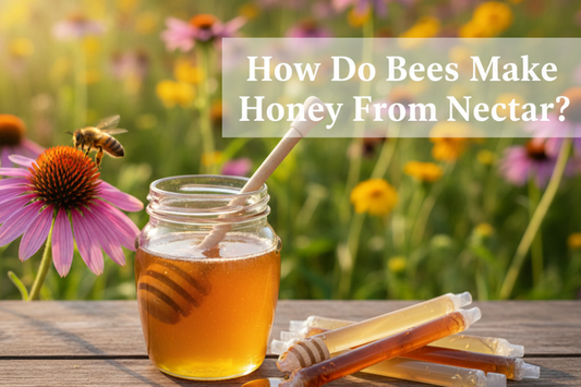 How Do Bees Make Honey From Nectar?
