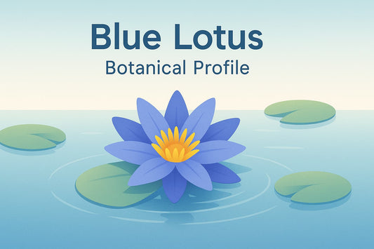 Illustration of blue lotus flower on water with lily pads and text Blue Lotus Botanical Profile