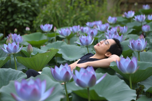 Young man with glasses relaxing among blooming blue lotus flowers in a lush green garden