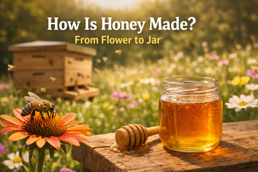 How Is Honey Made? From Flower to Jar